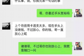 平阳债务清欠服务